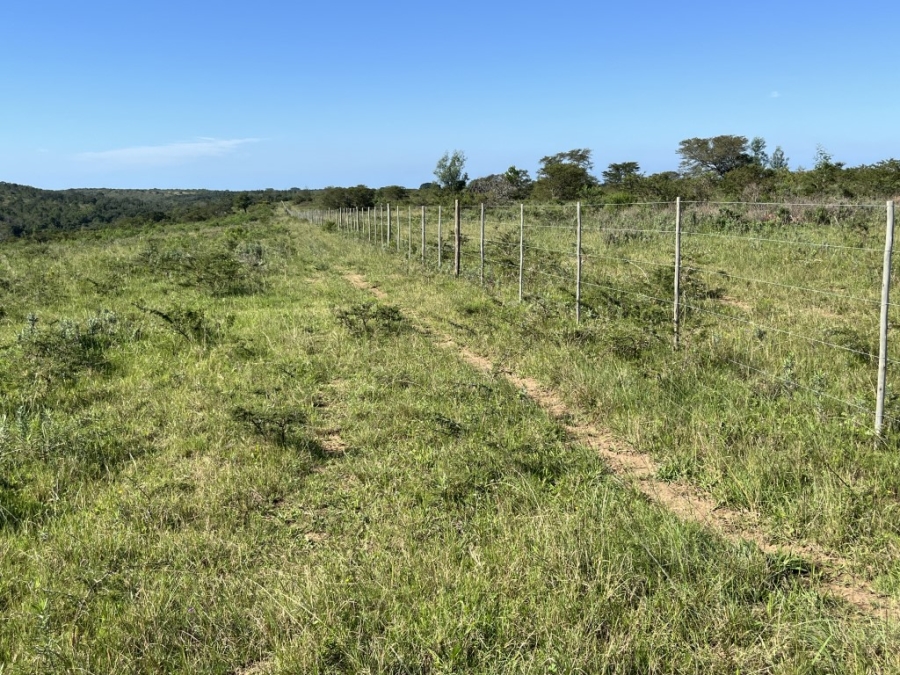 Commercial Property for Sale in Bathurst Rural Eastern Cape